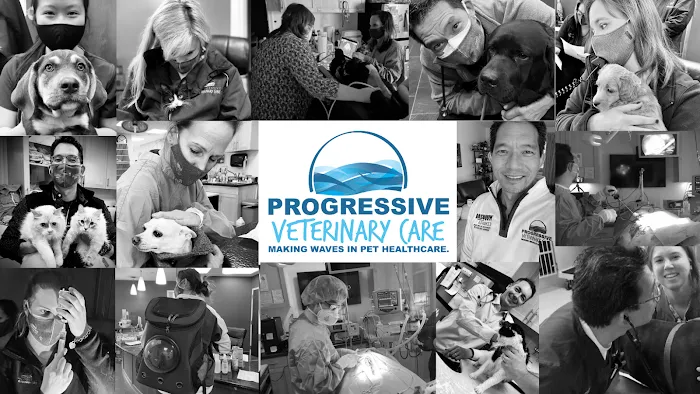 Progressive Veterinary Care Picture 5