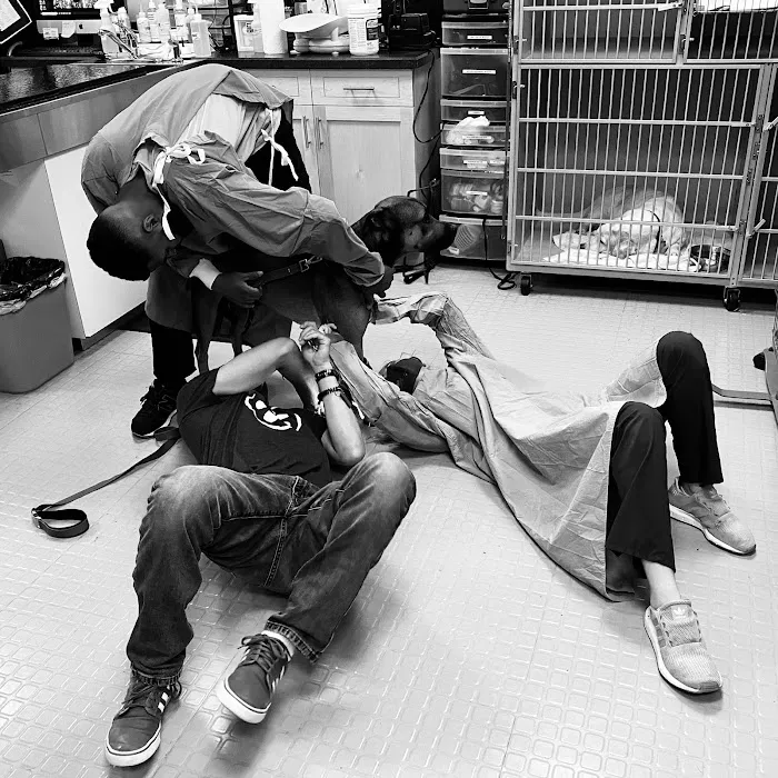 Progressive Veterinary Care Picture 8
