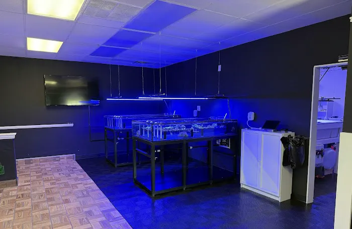 Main Line Coral Gardens Picture 1