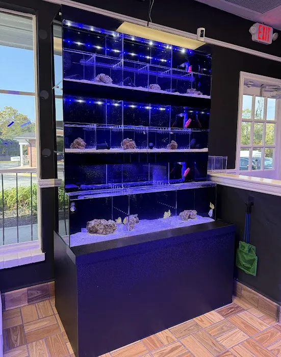 Main Line Coral Gardens Picture 2