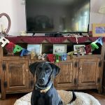 Veterinary Clinic of Imlaystown