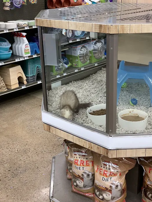 Petco Picture 1