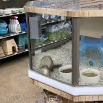 Petco