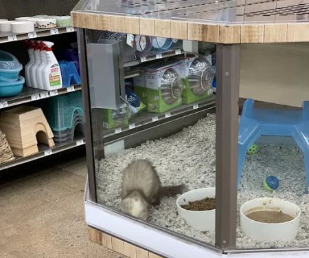 Petco