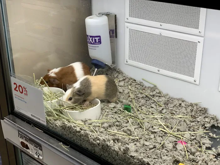 Petco Picture 6
