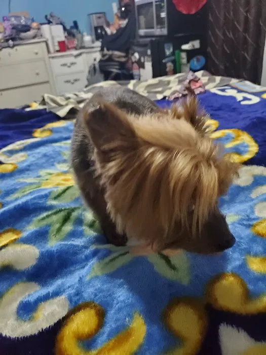 Petco Picture 2