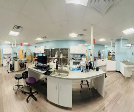 Ridgecrest Animal Hospital