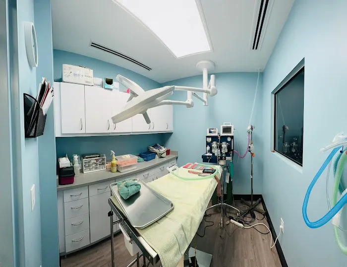 Ridgecrest Animal Hospital Picture 10