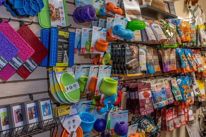 Abel Pet Supply Picture 7