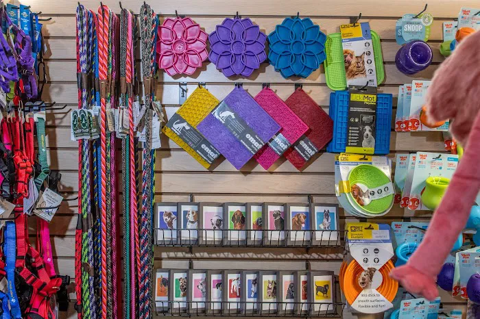 Abel Pet Supply Picture 4