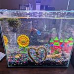 Petco