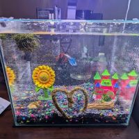 Petco ico