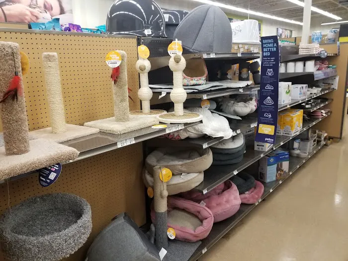 Petco Picture 6