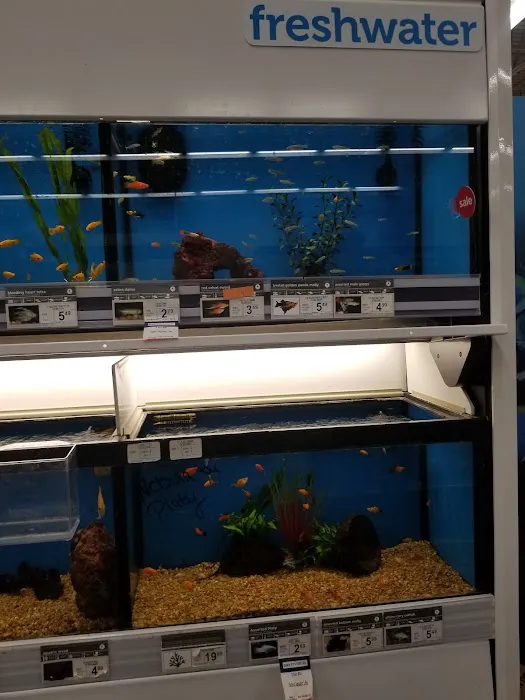 Petco Picture 4