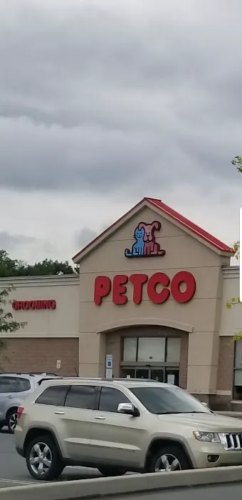 Petco Picture 7