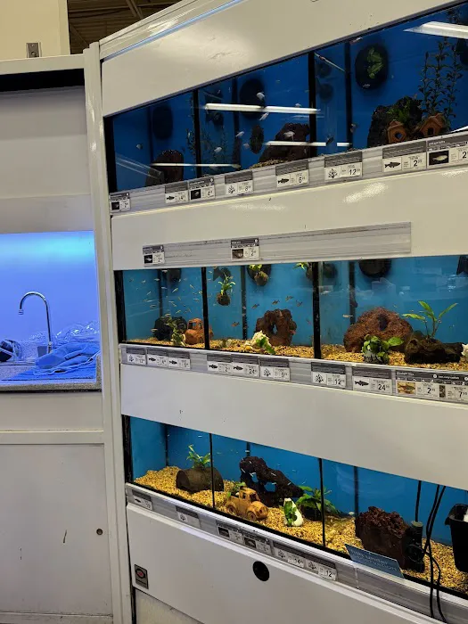 Petco Picture 9