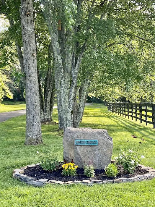Hogan Equine Llc Picture 2
