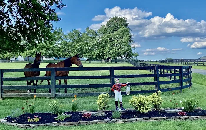 Hogan Equine Llc Picture 3