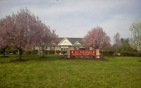 All Fur Paws Animal Hospital Picture 3