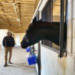 New Jersey Equine Clinic