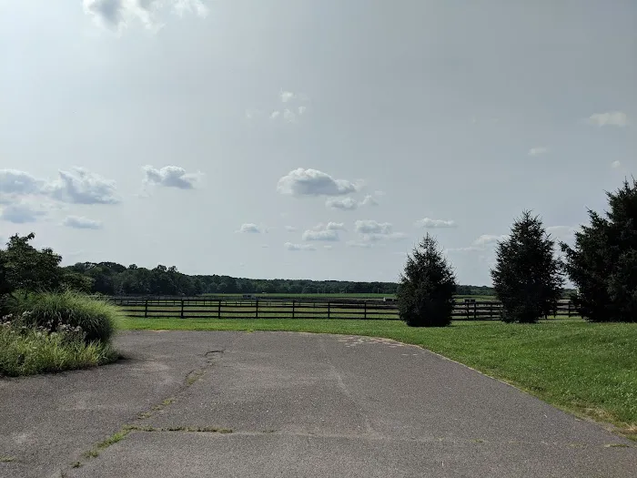 New Jersey Equine Clinic Picture 7