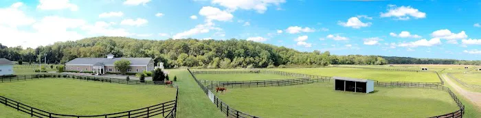 New Jersey Equine Clinic Picture 5