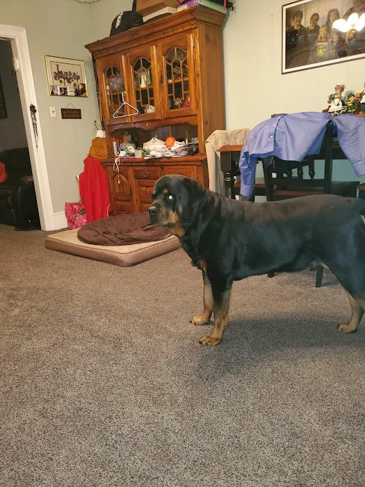 The Affordable Spay Neuter Clinic Picture 10