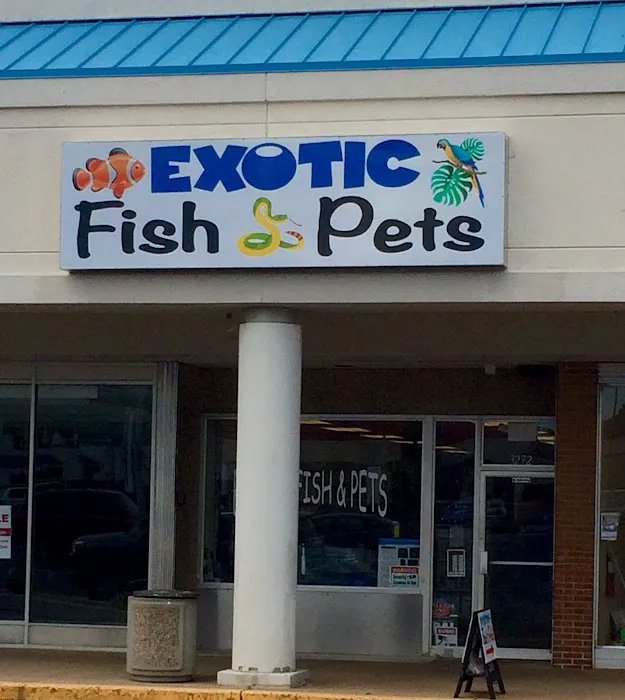 Exotic Fish & Pets Picture 3