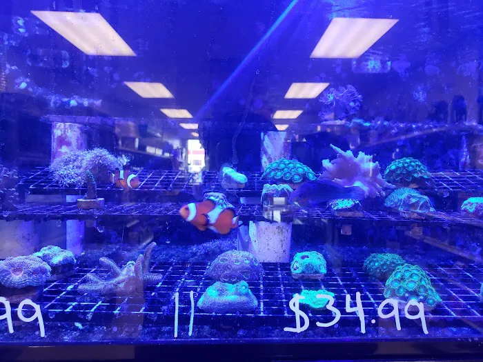 Exotic Fish & Pets Picture 4