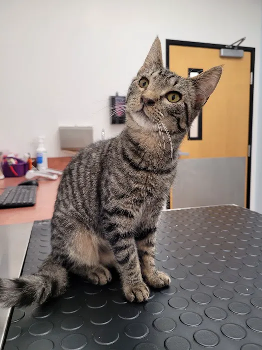 PetSmart Veterinary Services - Pottstown Picture 2