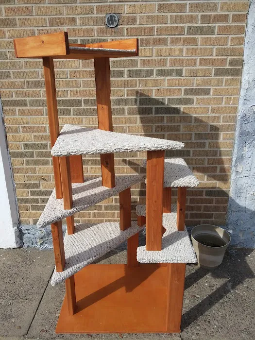 The Wooden Pet Shop Picture 1