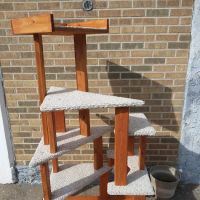 The Wooden Pet Shop ico