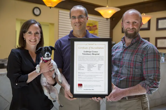 Ludwig's Corner Veterinary Hospital Picture 3