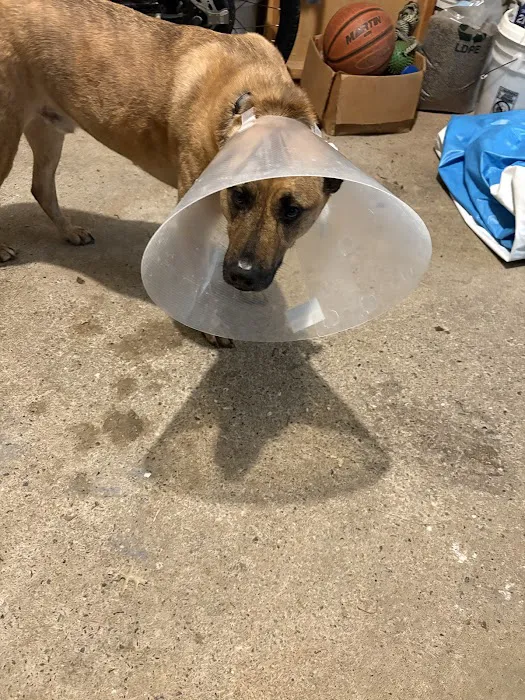 Ludwig's Corner Veterinary Hospital Picture 6