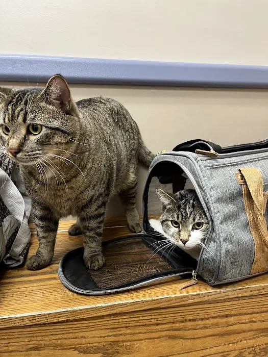 Ludwig's Corner Veterinary Hospital Picture 1