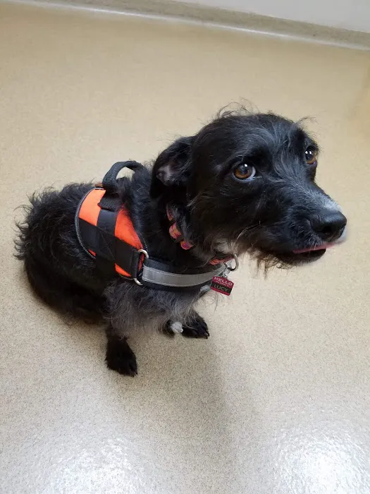Ludwig's Corner Veterinary Hospital Picture 4