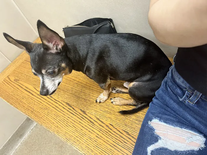 Ludwig's Corner Veterinary Hospital Picture 8