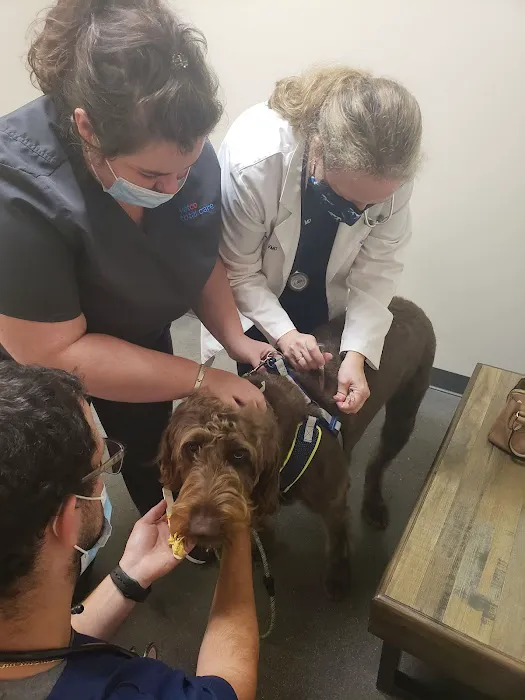Vetco Total Care Animal Hospital Picture 10