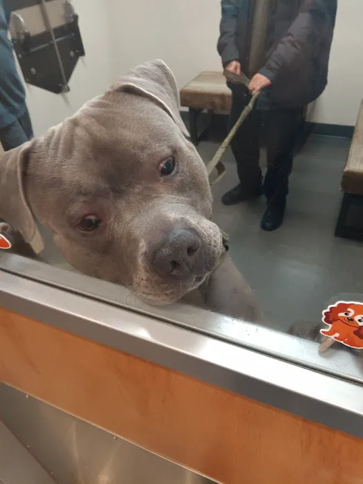 Vetco Total Care Animal Hospital Picture 8