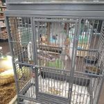Safari Stan's Pet Center