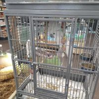 Safari Stan's Pet Center ico