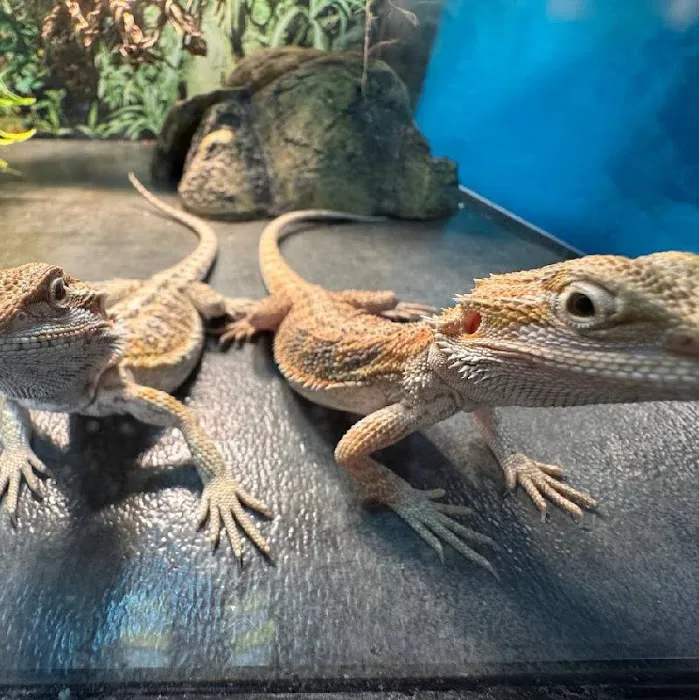 Safari Stan's Pet Center Picture 10