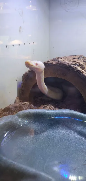 Slither & Swim Picture 5