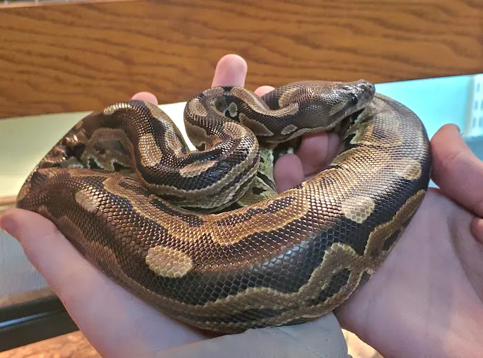 Slither & Swim Picture 2