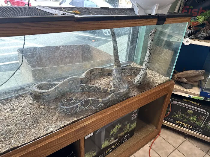 Slither & Swim Picture 7