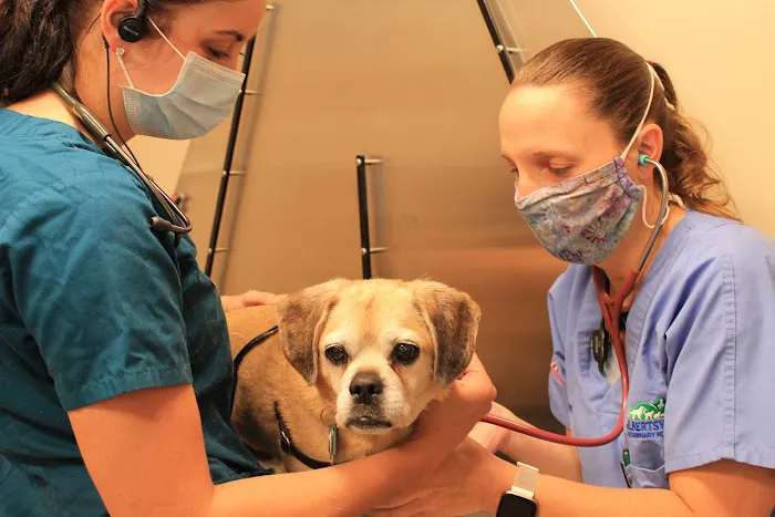 Gilbertsville Veterinary Hospital Picture 5