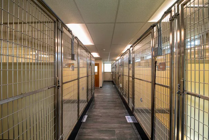 Gilbertsville Veterinary Hospital Picture 4