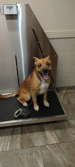 Gilbertsville Veterinary Hospital Picture 8