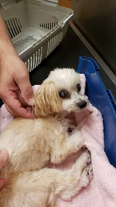 Gilbertsville Veterinary Hospital Picture 7