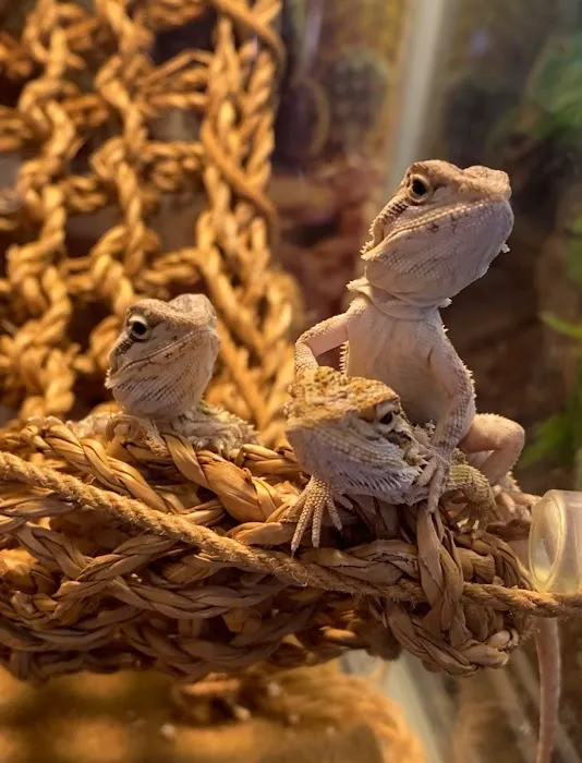 Exotic Fish & Reptiles Picture 1